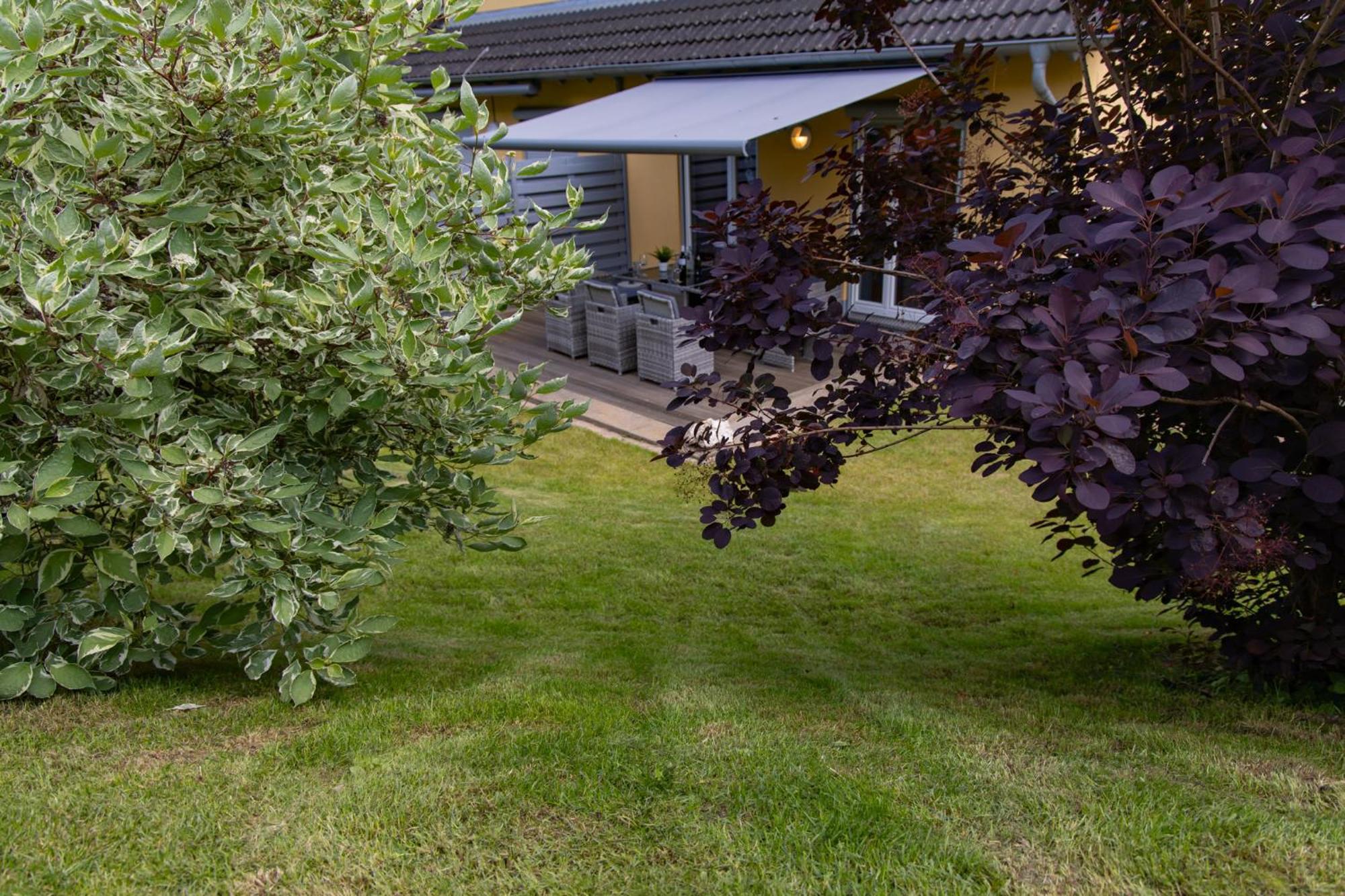 Ferienhaus Moselhoehe -Neu- Traben-Trarbach Exterior foto